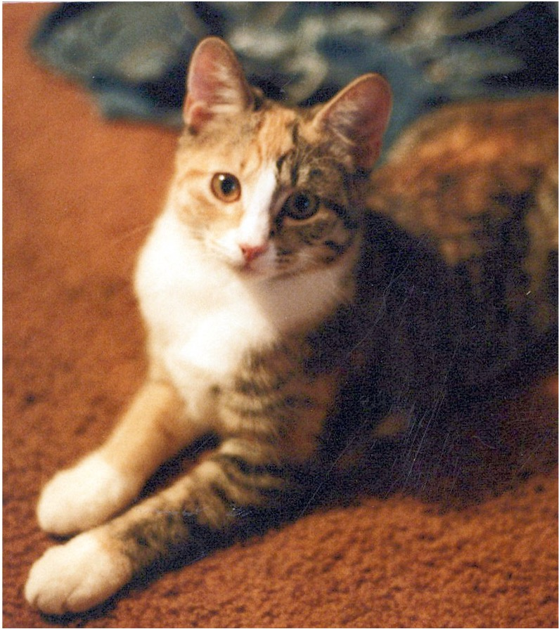 buffy close up.webp